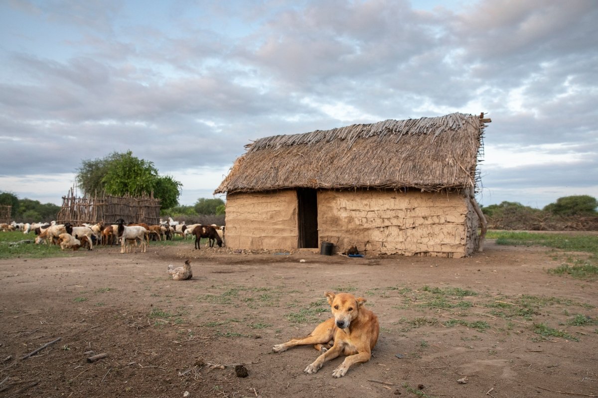 maasai household in northern Tanzania