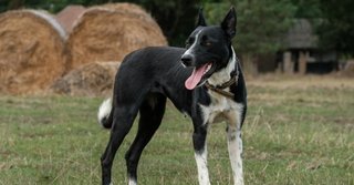 2024_07_terelo-sinka-1-1024x535.jpg