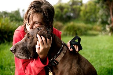 gazdi öleli a kutyát