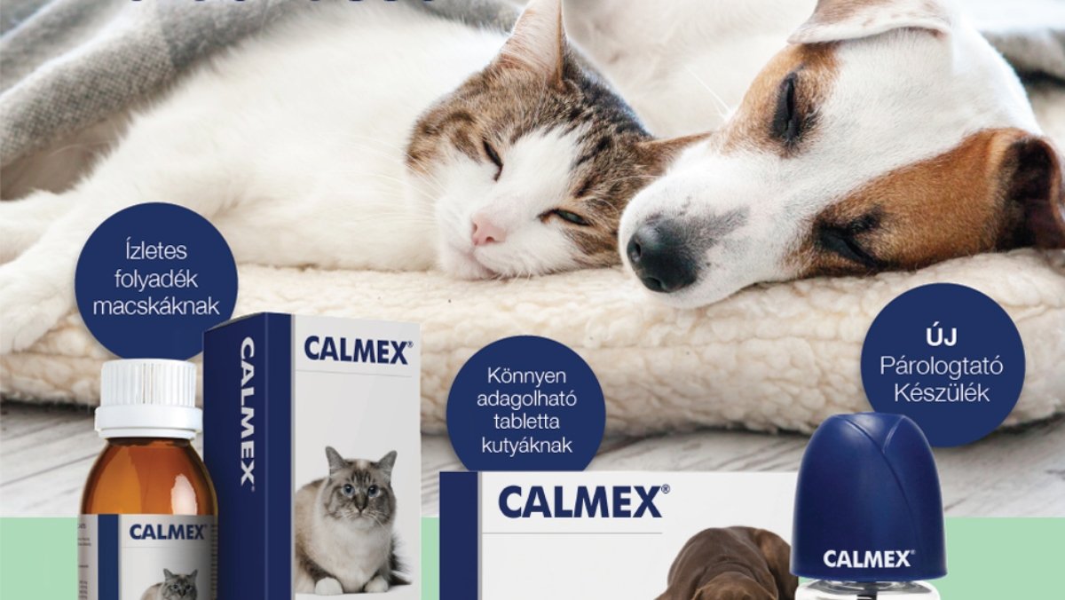 calmex