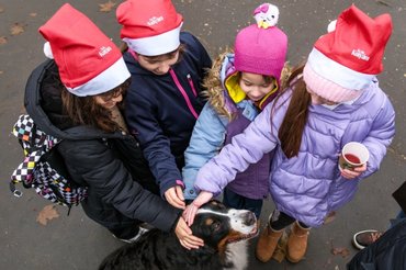 DOGZ Mikulás Falkaséta