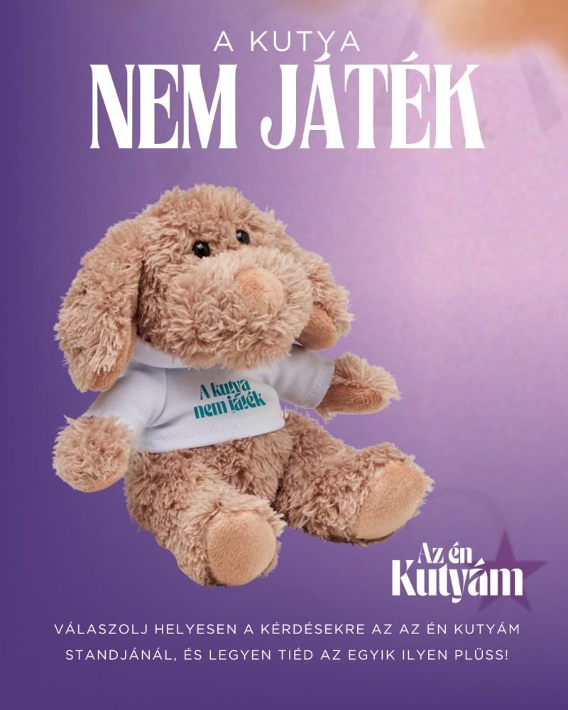 2025_02_kutya-nem-jatek-pluss-e1739693834445.jpg