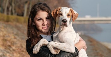 Angol pointer a gazdájával