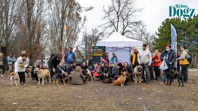 Noé csapata a farsangi falkasétán