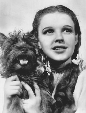 The_Wizard_of_Oz_Judy_Garland_Terry_1939