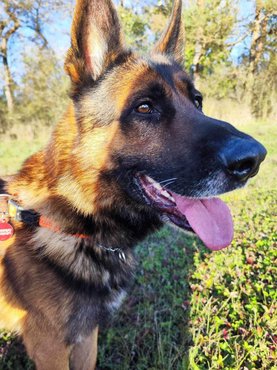 Astra_Vackolo_menhely