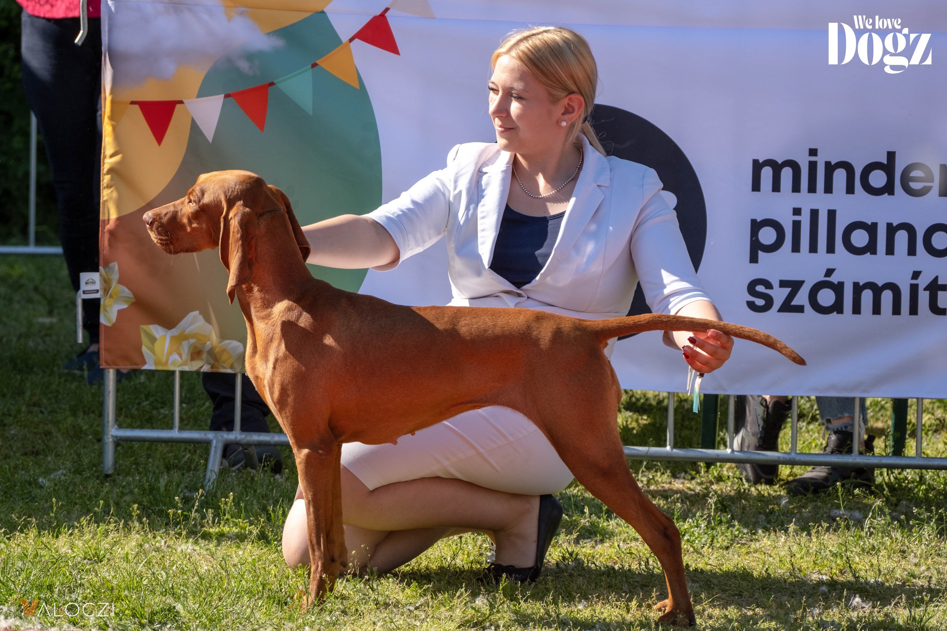 DOGZ Fesztivál