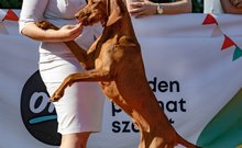 DOGZ Fesztivál