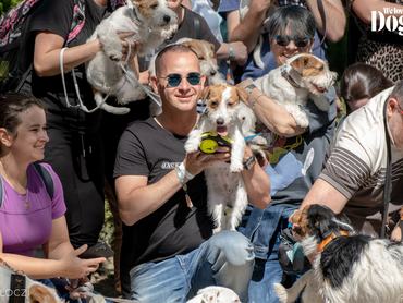 DOGZ Fesztivál