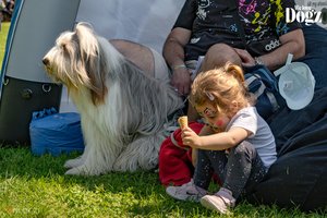 DOGZ Fesztivál