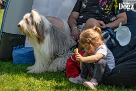 DOGZ Fesztivál