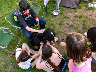 DOGZ Fesztivál