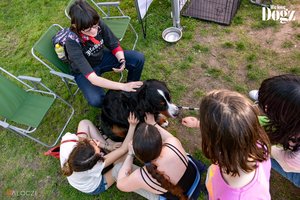DOGZ Fesztivál