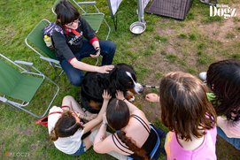 DOGZ Fesztivál