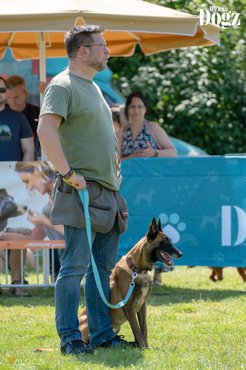 DOGZ Fesztivál