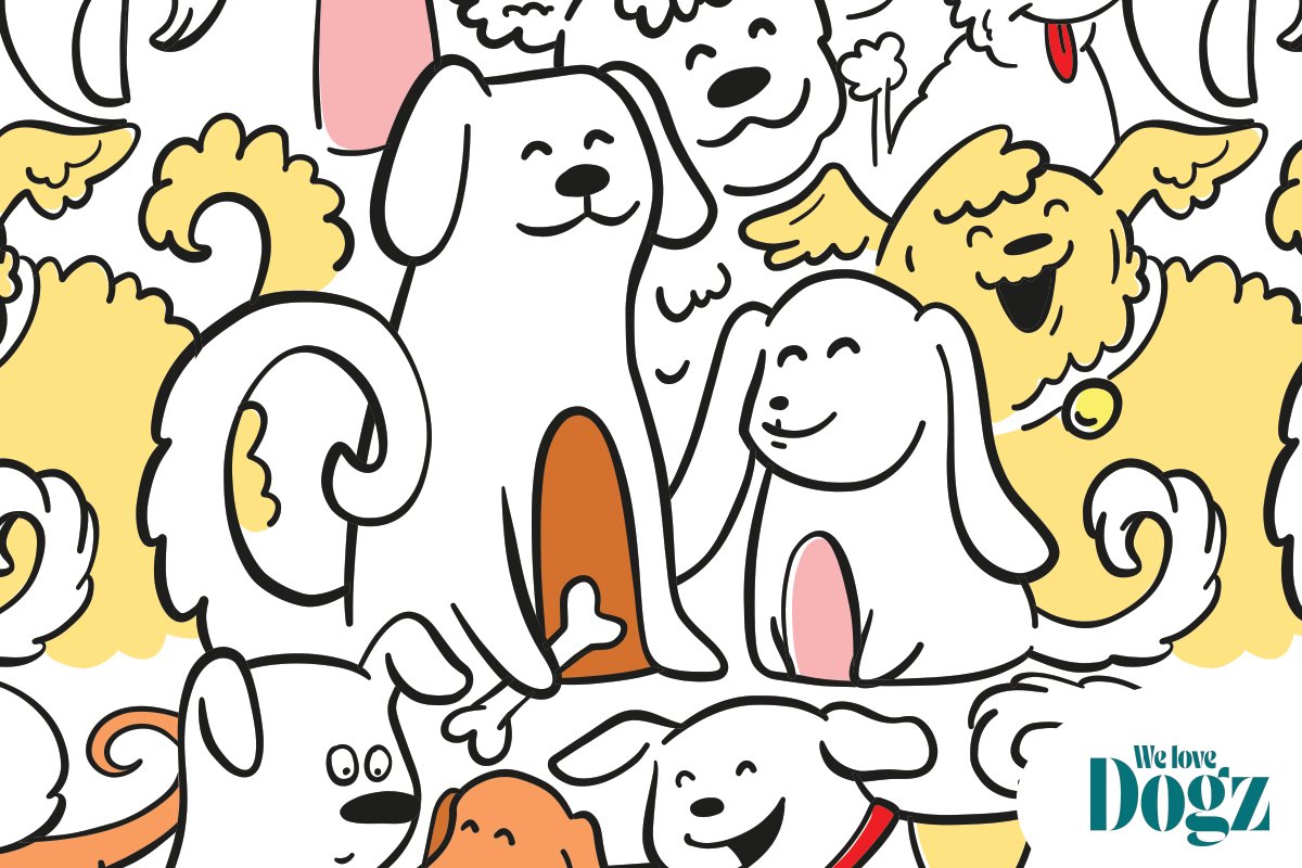 DOGZ képrejtvény