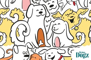 DOGZ képrejtvény