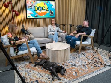 podcast stúdió beszélgetés kutyával