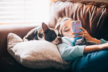 Fiatal tini lány a kutyája mellett fekve nézi a telefonját