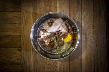 BARF alapú nyers hús táplálék a kutya etetőtáljában