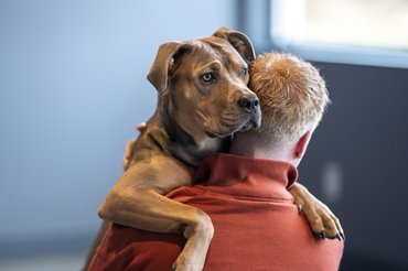 gazdi karban tartja kutyáját