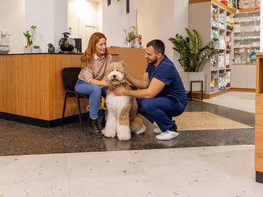 Egy vidám pillanat egy tiszta, modern állatorvosi rendelőben, amikor egy állatorvos és egy kutyatulajdonos beszélget és megsimogat egy nyugodt uszkárt, hangsúlyozva kedvence jólétét.