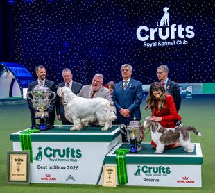 Crufts best is show győztes 2026