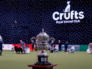 BIRMINGHAM, ENGLAND - MARCH 08: Crufts Best In Show trophy is seen on Day Four of Crufts 2026 at National Exhibition Centre on March 08, 2026 in Birmingham, England. Crufts 2026 runs for four days Thursday 5th March culminating in the Best In Show competition on Sunday night. The world famous dog show is organised by The Royal Kennel Club and this year's show features over 18,600 dogs and has expanded into Hall 8 for new grooming competitions and Young Kennel Club activities. (Photo by Shirlaine Forrest/WireImage)