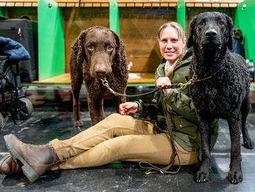BIRMINGHAM, ENGLAND - MARCH 08: Rifle and Tiffany the Curly Coat Retrievers attend Day Four of Crufts 2026 at National Exhibition Centre on March 08, 2026 in Birmingham, England. Crufts 2026 runs for four days Thursday 5th March culminating in the Best In Show competition on Sunday night. The world famous dog show is organised by The Royal Kennel Club and this year's show features over 18,600 dogs and has expanded into Hall 8 for new grooming competitions and Young Kennel Club activities. (Photo by Shirlaine Forrest/WireImage)