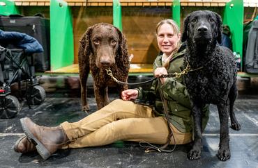 BIRMINGHAM, ENGLAND - MARCH 08: Rifle and Tiffany the Curly Coat Retrievers attend Day Four of Crufts 2026 at National Exhibition Centre on March 08, 2026 in Birmingham, England. Crufts 2026 runs for four days Thursday 5th March culminating in the Best In Show competition on Sunday night. The world famous dog show is organised by The Royal Kennel Club and this year's show features over 18,600 dogs and has expanded into Hall 8 for new grooming competitions and Young Kennel Club activities. (Photo by Shirlaine Forrest/WireImage)