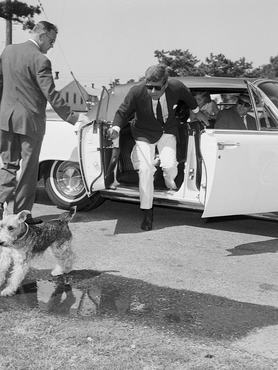 President John F. Kennedy chases Charlie, his daughter's Welsh terrier, as it runs away. The Kennedys are visiting the First Lady, while she is in the hospital, after giving birth to a son who lived only two days. | Location: Otis Air Force Base, Massachusetts, USA.