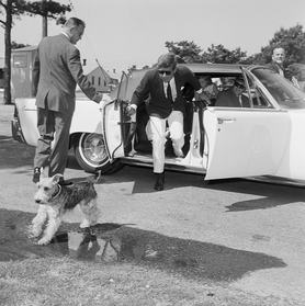 President John F. Kennedy chases Charlie, his daughter's Welsh terrier, as it runs away. The Kennedys are visiting the First Lady, while she is in the hospital, after giving birth to a son who lived only two days. | Location: Otis Air Force Base, Massachusetts, USA.