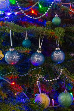 Kozmosz, Csili, Pucó neves kutyás karigömbök