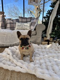 Kriszta és Ali fotója