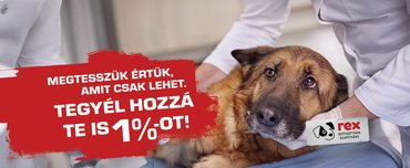 rex alapítvány