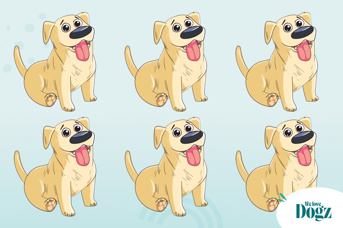 képrejtvény grafika