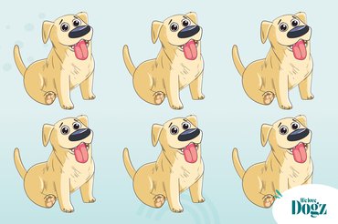 képrejtvény grafika
