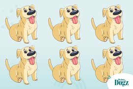 képrejtvény grafika