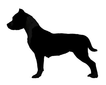 amerikai staffordhsire terrier sziluettje