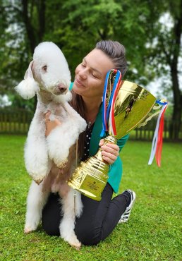 lando nevű bedlington és szilfai barbara