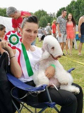Szilfai Barbara első bedlington terrierjével