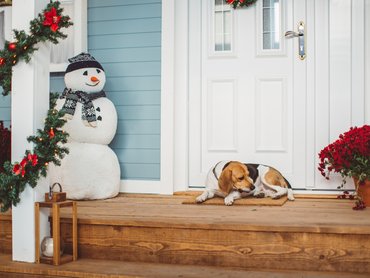 beagle karácsonyi teraszon