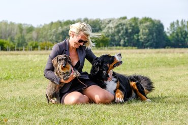 berni pásztor gazdájával és egy szálkásszőrű tacskóval