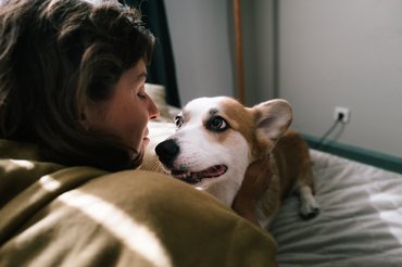 corgi a gazdájával