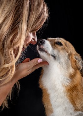 corgi s gazdája szeretettel néznek egymásra