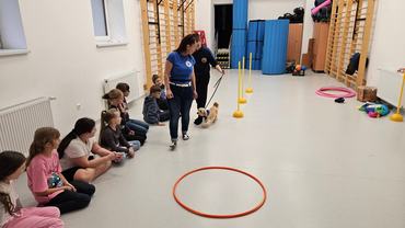 csoportos állatasszisztált terápia