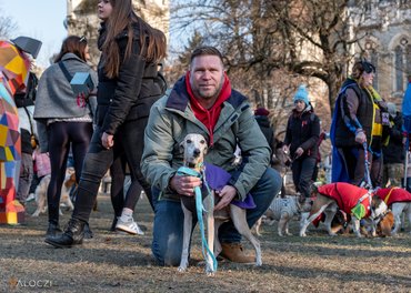 Csörgő Balázs a DOGZ Farsangi Falkaséta Nagykövete