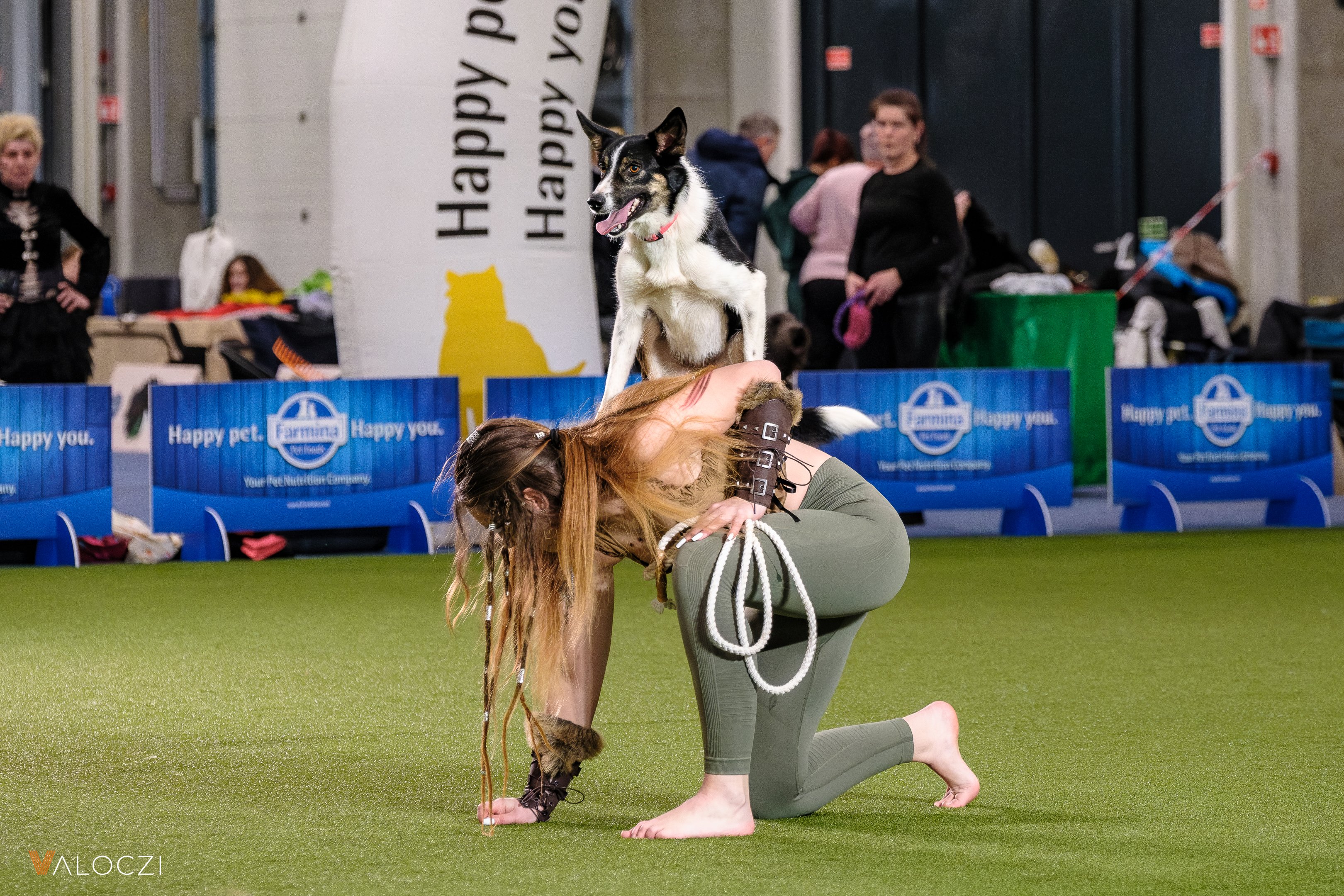 dog dancing