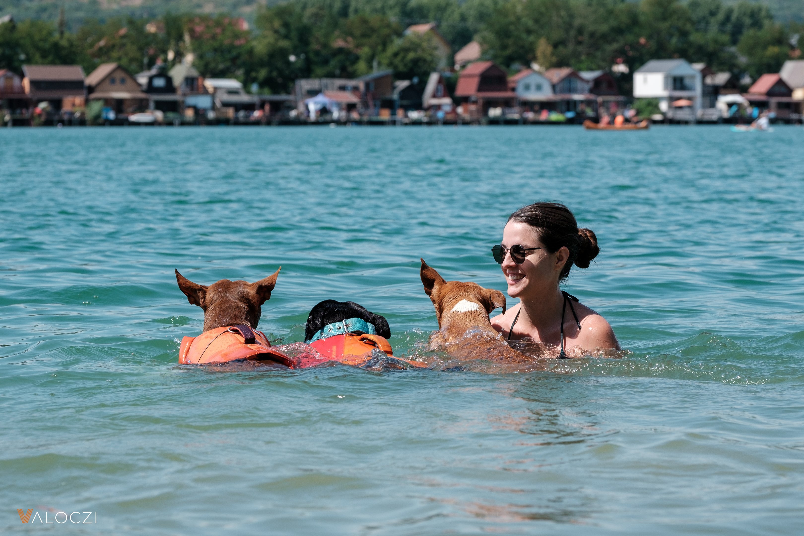 Dogs in the water with them owner