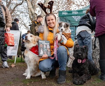 DOGZ Mikulás Falkaséta 2025